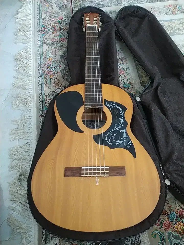 یک عدد گیتار کاملاً سالم وبدون ایراد و دست ساز|گیتار، بیس، امپلیفایر|چالوس, |دیوار