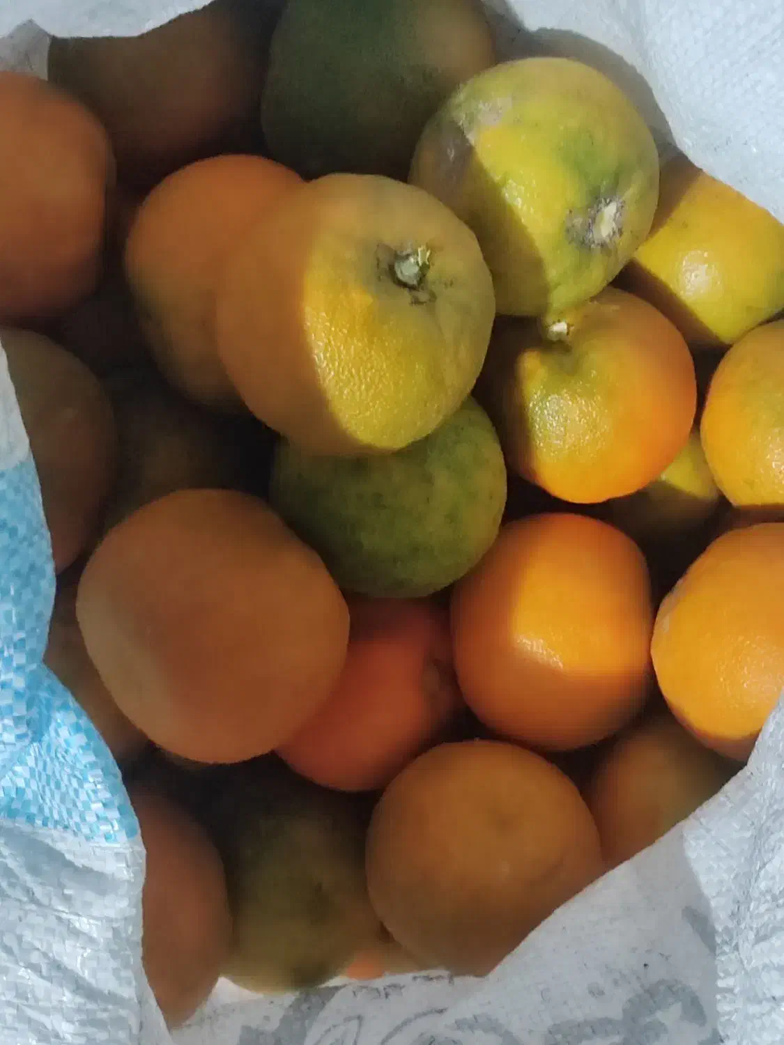 نارنج محلی آبدار|خوردنی و آشامیدنی|سلمانشهر, |دیوار