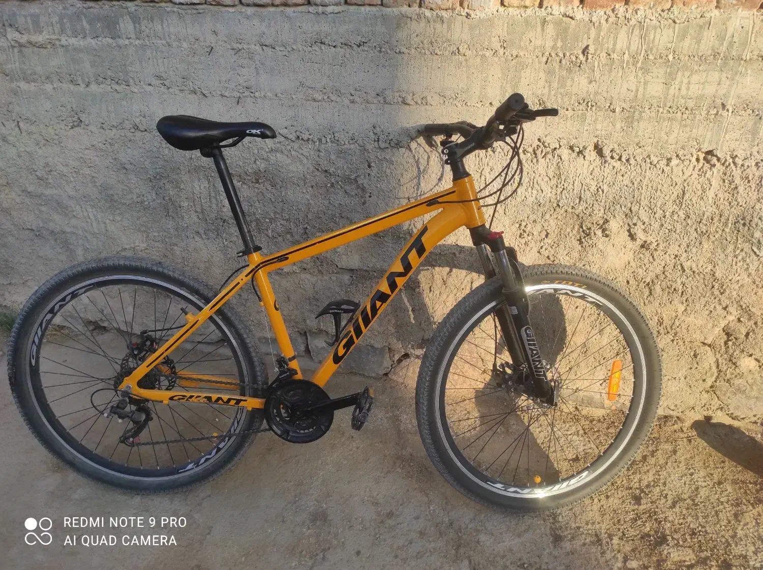 دوچرخه|دوچرخه، اسکیت، اسکوتر|بکتاش, |دیوار