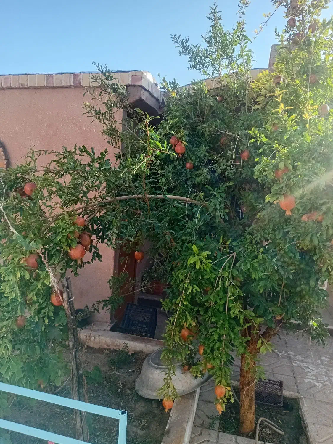 اجاره سوییت|اجارهٔ کوتاه‌مدت آپارتمان و سوئیت|فردوس (خراسان), |دیوار