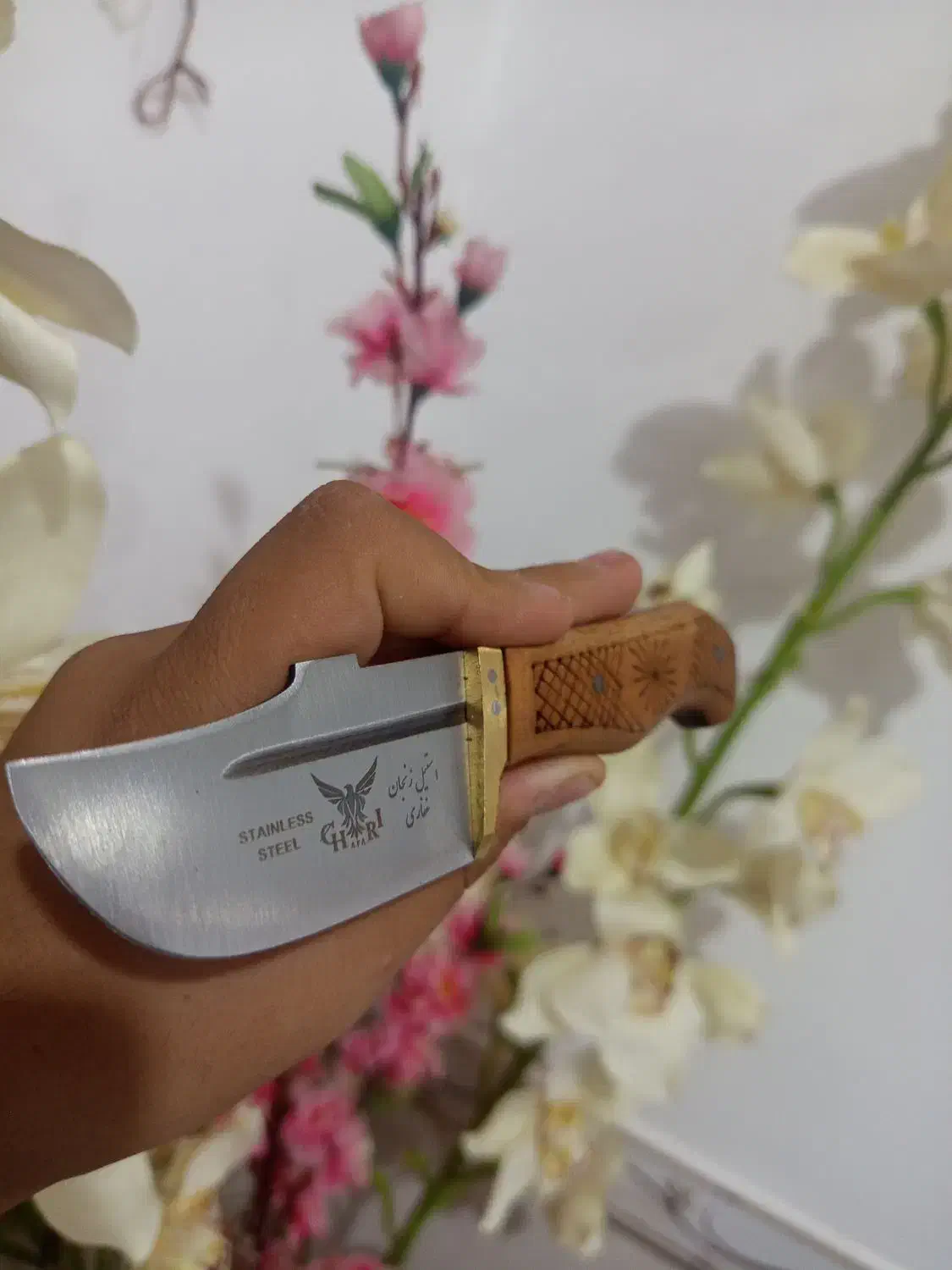 چاقو|کوهنوردی و کمپینگ|بیجار, |دیوار