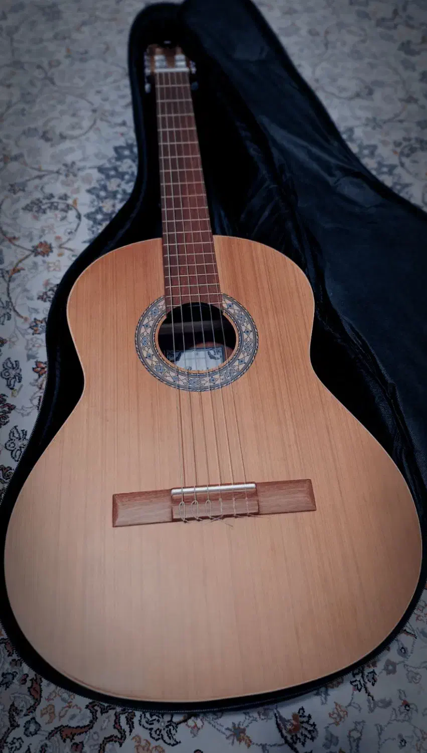 گیتار پارسی P80|گیتار، بیس، امپلیفایر|دلیجان, |دیوار