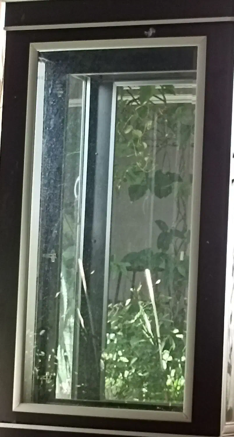 پاتریشن|صنایع دستی و سایر لوازم تزئینی|کهک, |دیوار