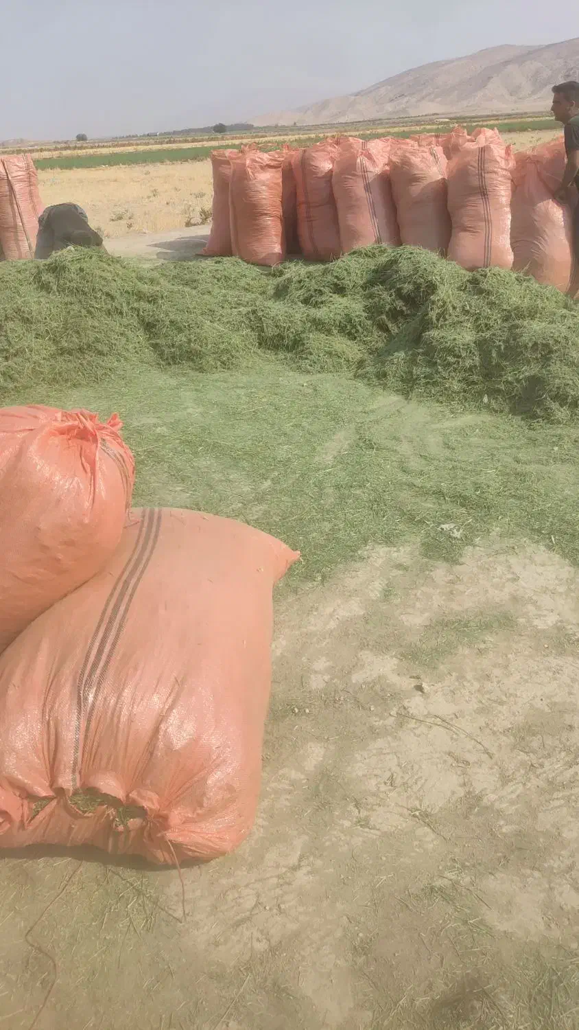 فروش کاه و یونجه تحویل درب دامداری|لوازم جانبی حیوانات|خور (فارس), |دیوار