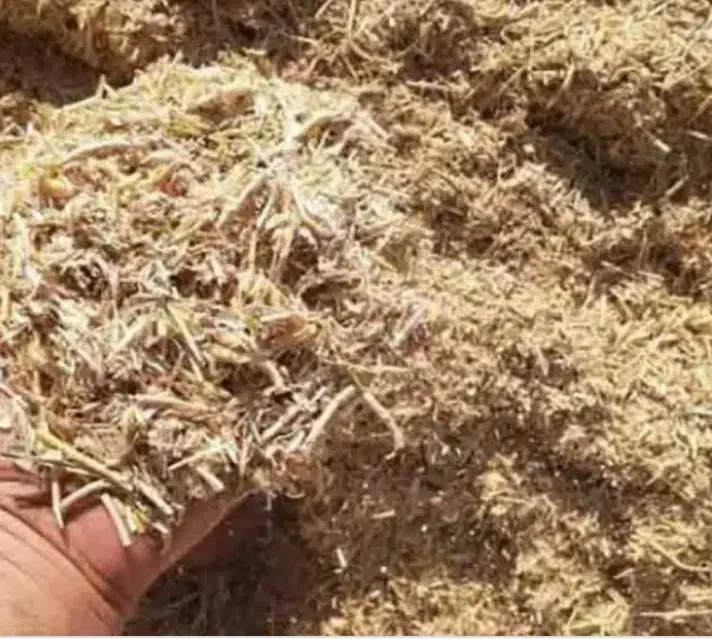 کاه لوبیا|لوازم جانبی حیوانات|شیروان (خراسان), |دیوار