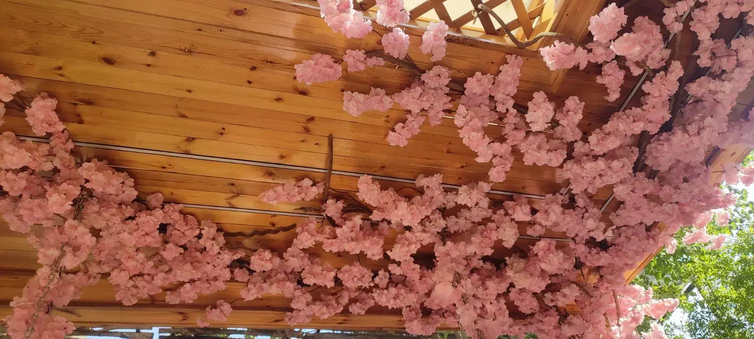 راهنمایی گردش|فعالیت داوطلبانه|قم, انسجام|دیوار