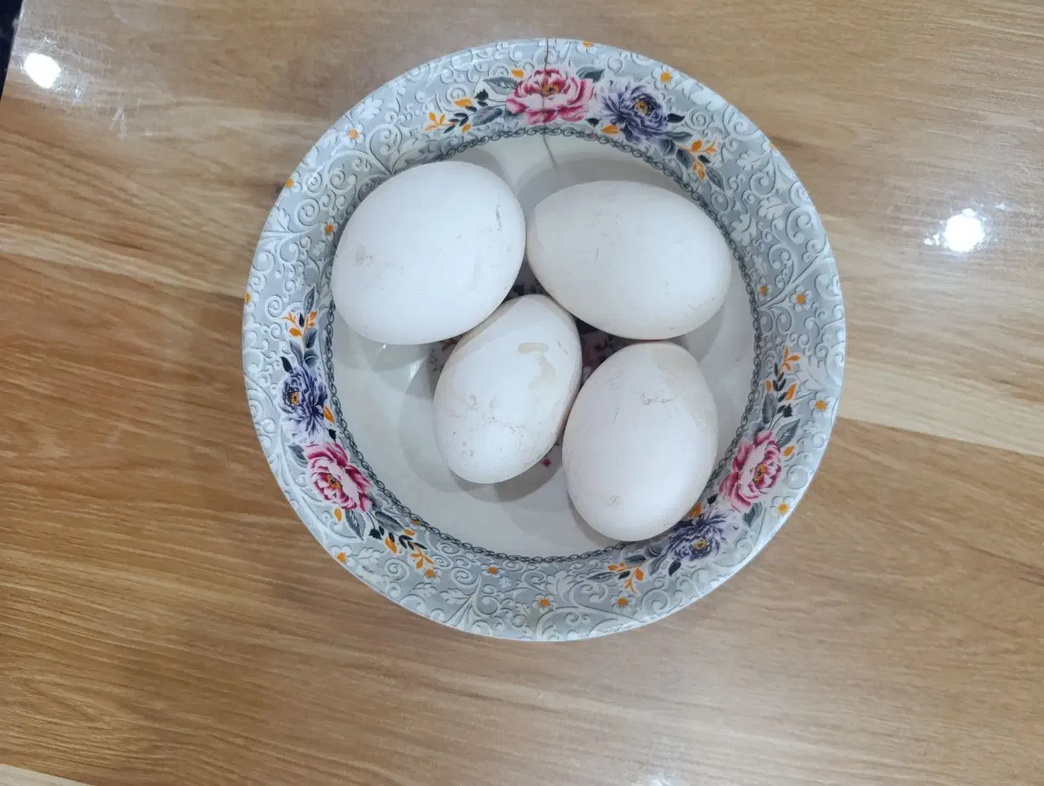 تخم قو غاز لیندا اصیل|حیوانات مزرعه|شلمان, |دیوار