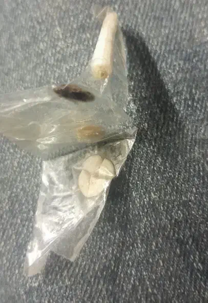 سنگ مهره|کلکسیون اشیاء عتیقه|اردبیل, |دیوار