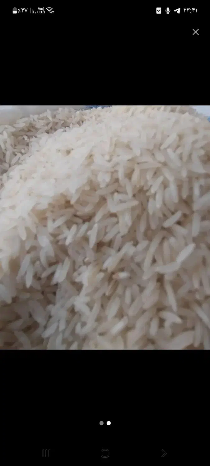 گل پسند|خوردنی و آشامیدنی|تهران, آهنگ|دیوار