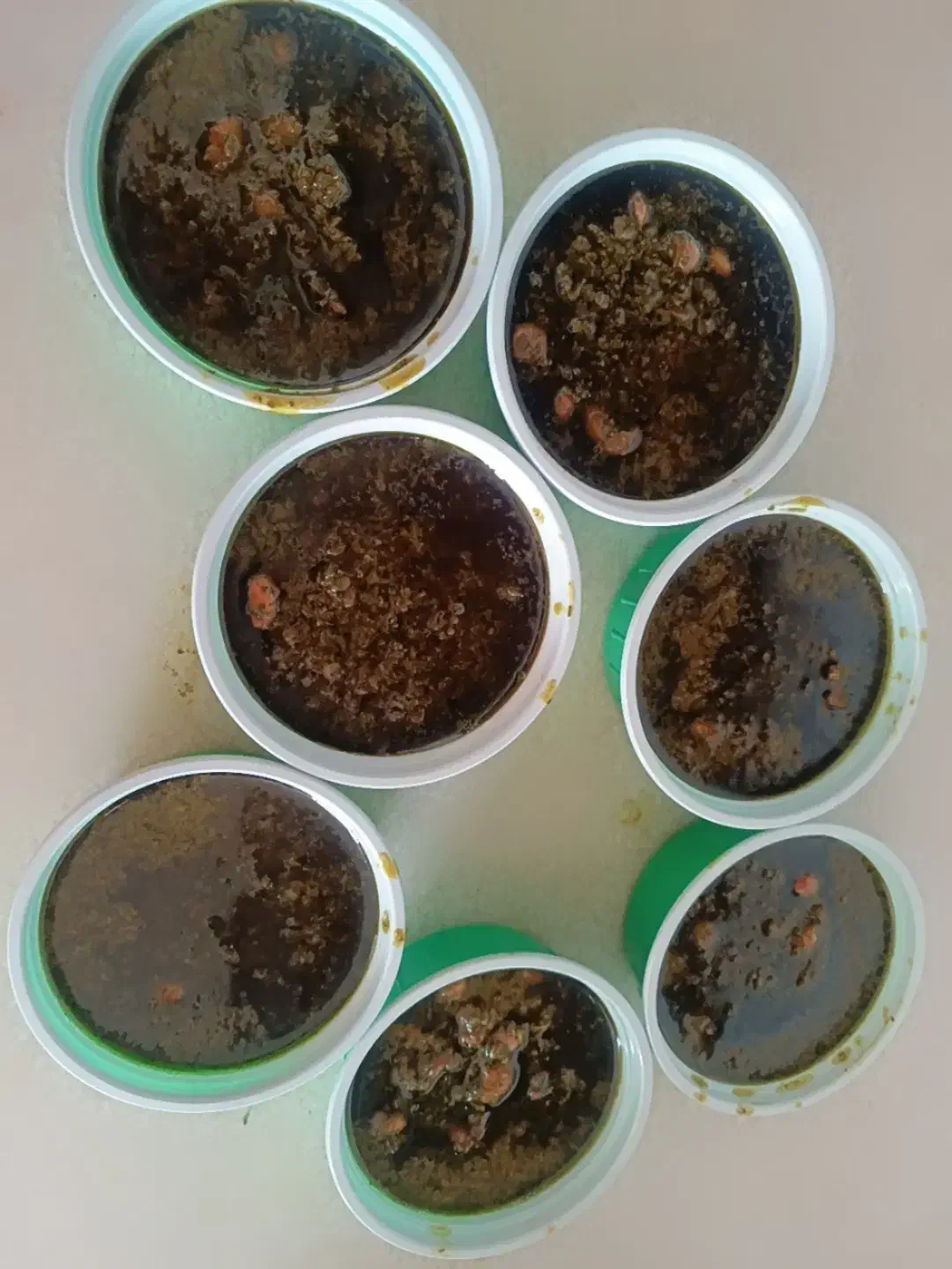 غذای لذیذ|خدمات پذیرایی، مراسم|اراک, |دیوار