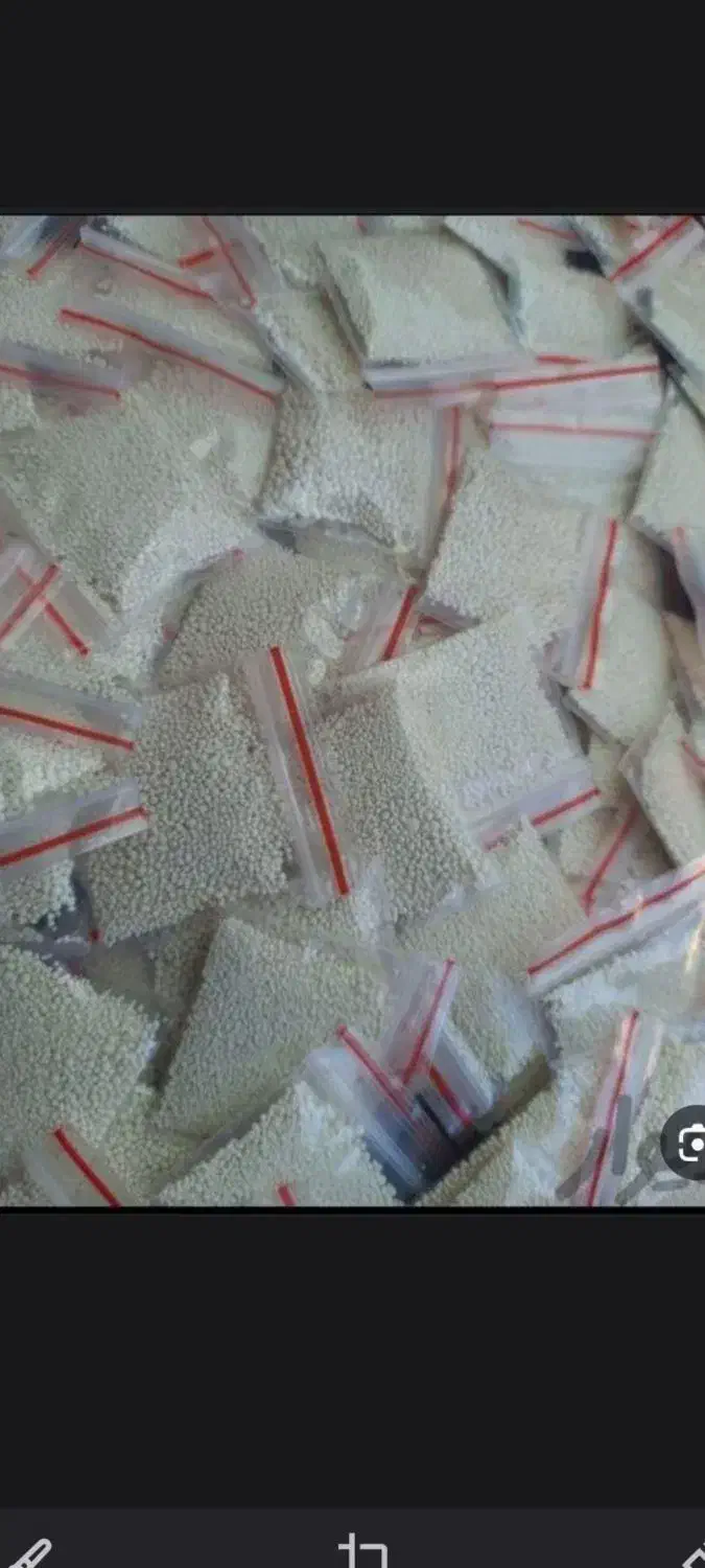 پودر شپش|مواد شوینده و دستمال کاغذی|زاهدان, |دیوار