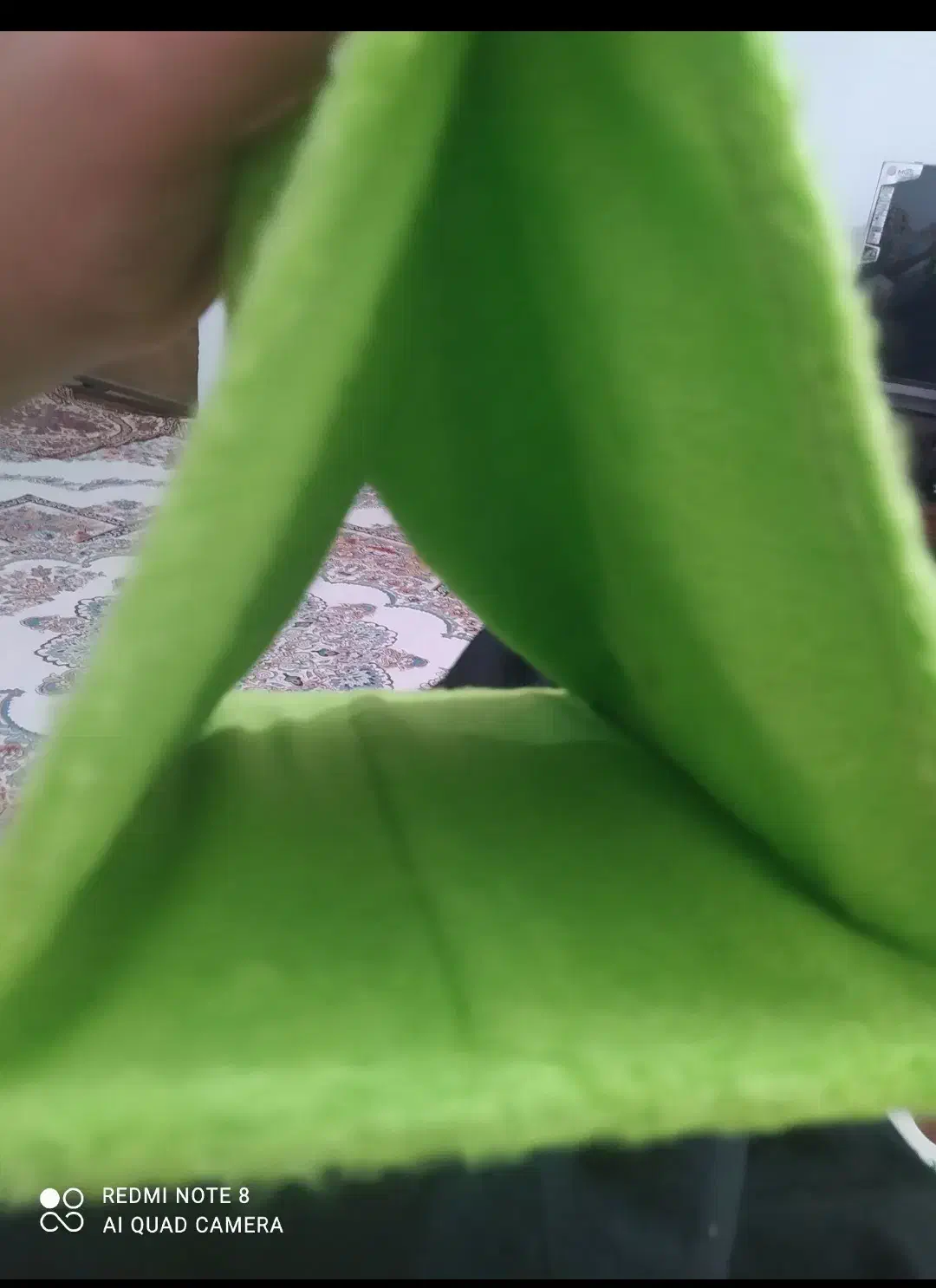 مخفیگاه وهودی پرنده|لوازم جانبی حیوانات|ایلام, |دیوار