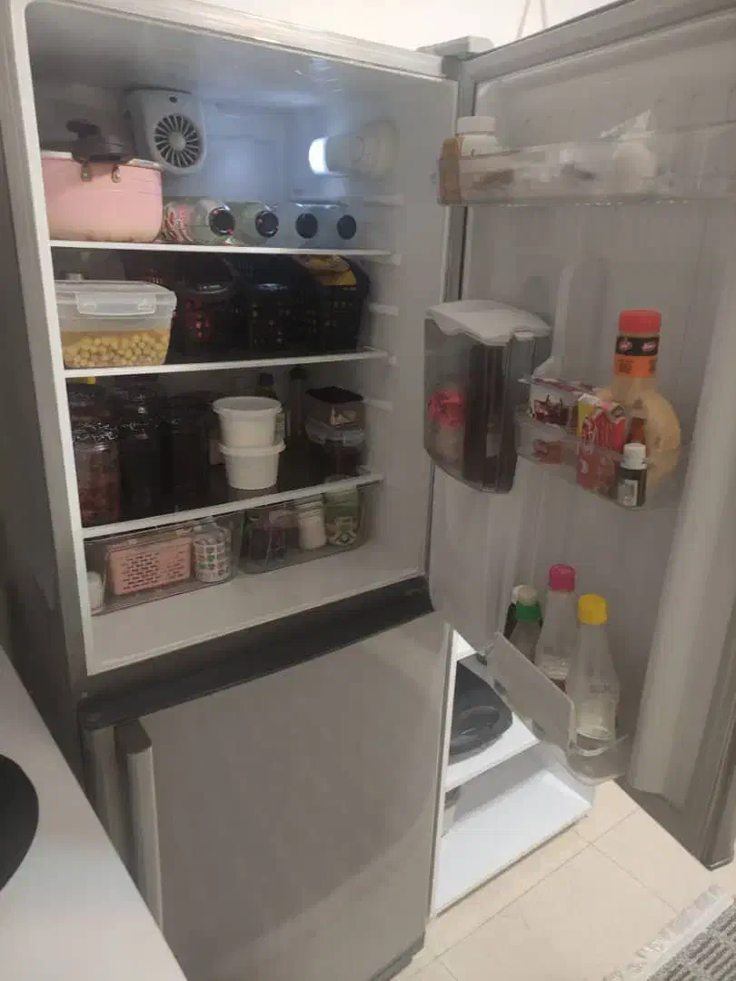 یخچال سینور|یخچال و فریزر|رشت, معلولین|دیوار