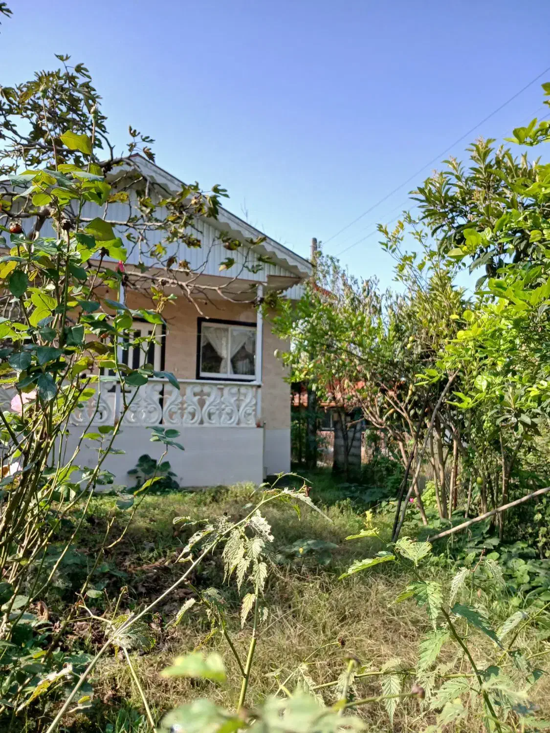 خونه ویلای|فروش خانه و ویلا|سیاهکل, |دیوار