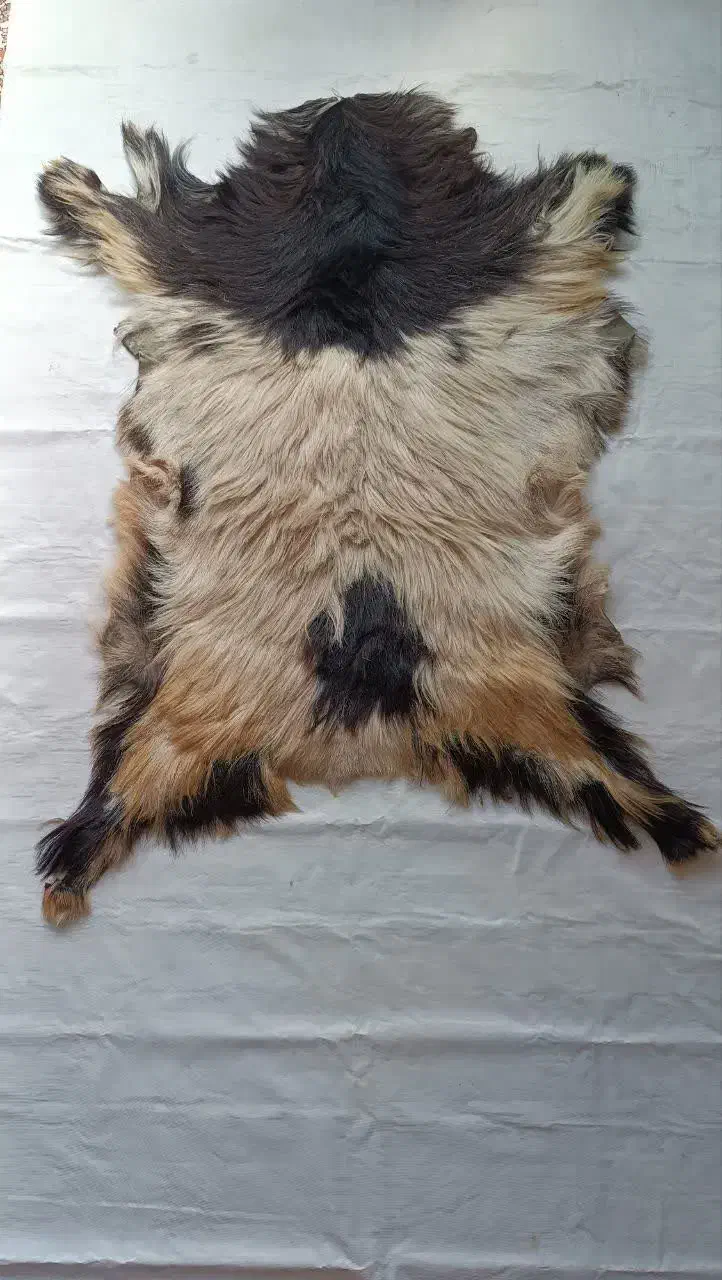 پوست بز|صنایع دستی و سایر لوازم تزئینی|لالجین, |دیوار