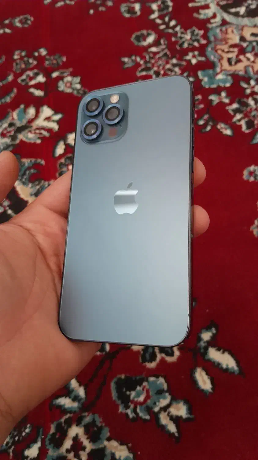 اپل iPhone 12 Pro با حافظهٔ ۲۵۶ گیگابایت|موبایل|مرودشت, گندم‎|دیوار