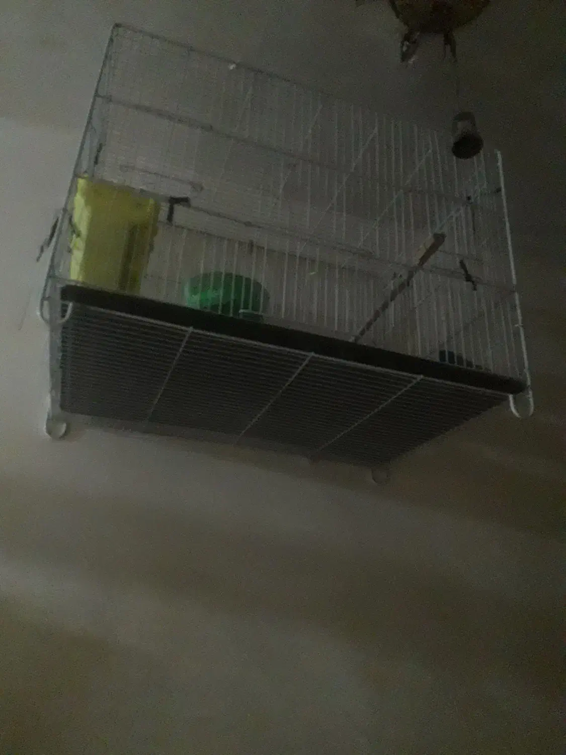 قفس|لوازم جانبی حیوانات|مشهد, طلاب|دیوار