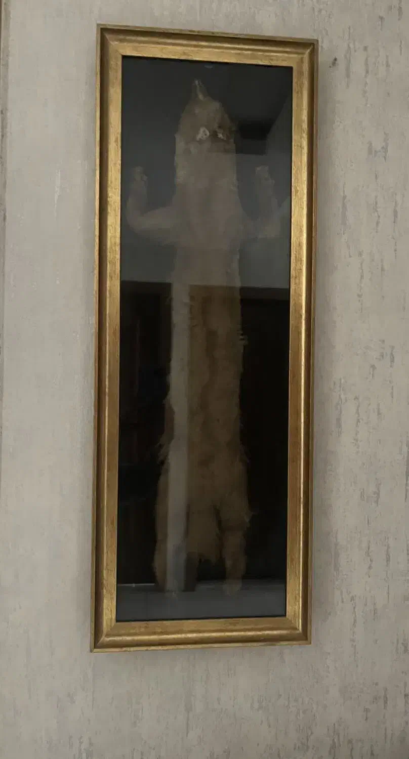 تابلو|تابلو، نقاشی، عکس|اصفهان, الهیه|دیوار