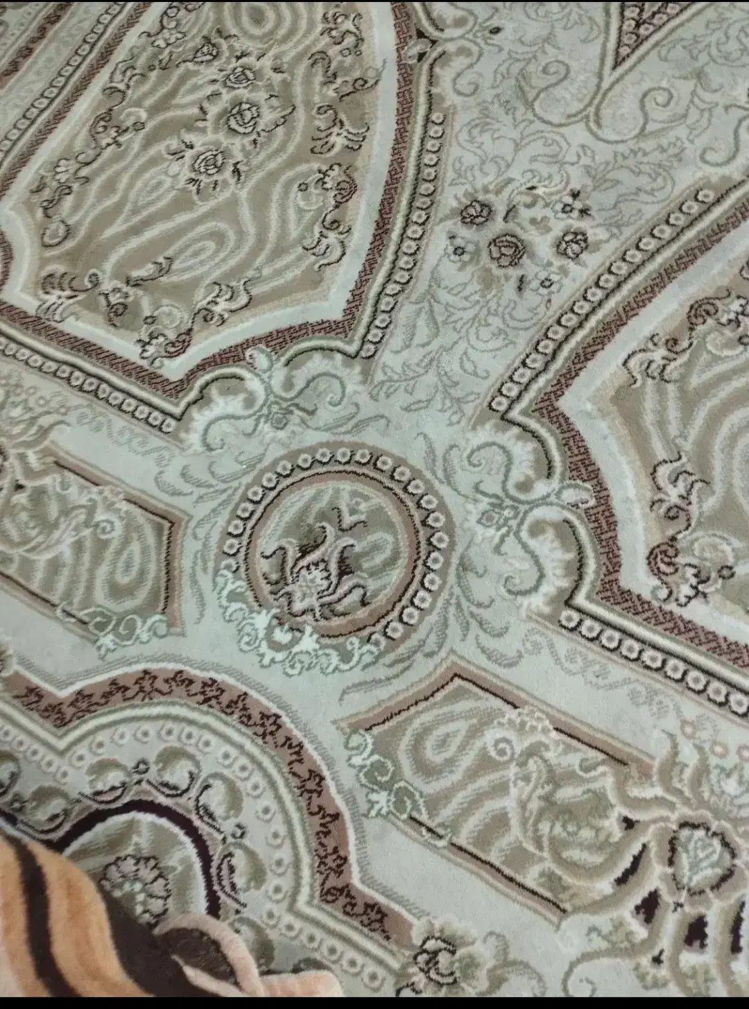 2 عدد 6 متری|فرش|زاهدان, |دیوار