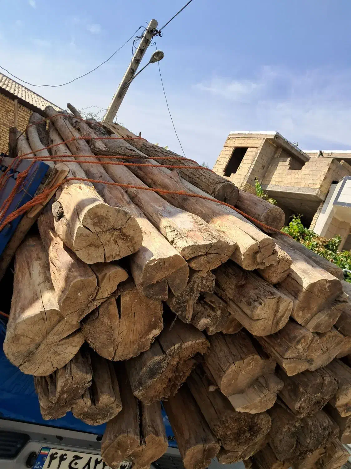 خرید چوب|خدمات باغبانی و درختکاری|نجفآباد, گلدشت|دیوار