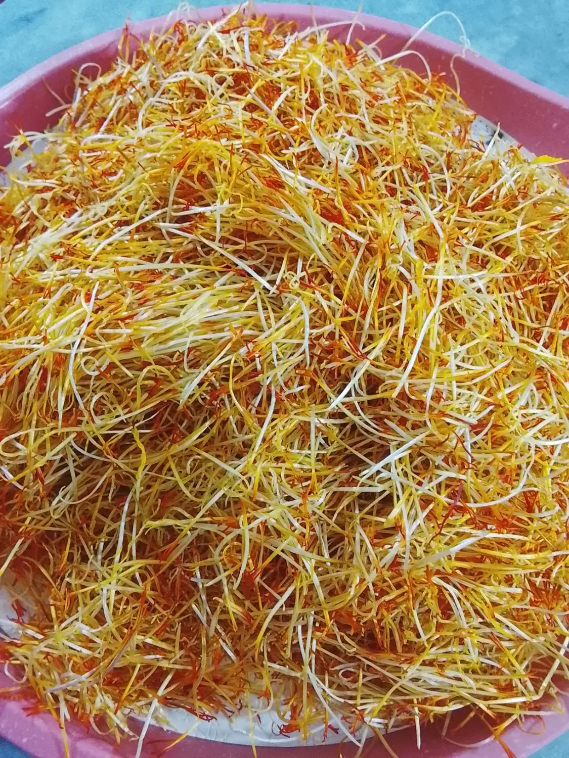 خامه زعفران|عمدهفروشی|کوزران, |دیوار