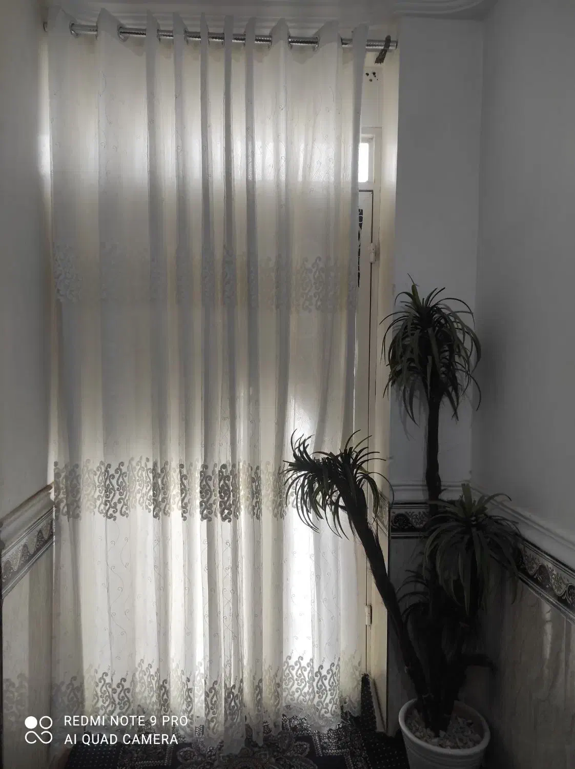 سه عدد پرده پذیرایی اتاق خواب و در حیاط خلوت|پرده، رانر، رومیزی|برازجان, |دیوار