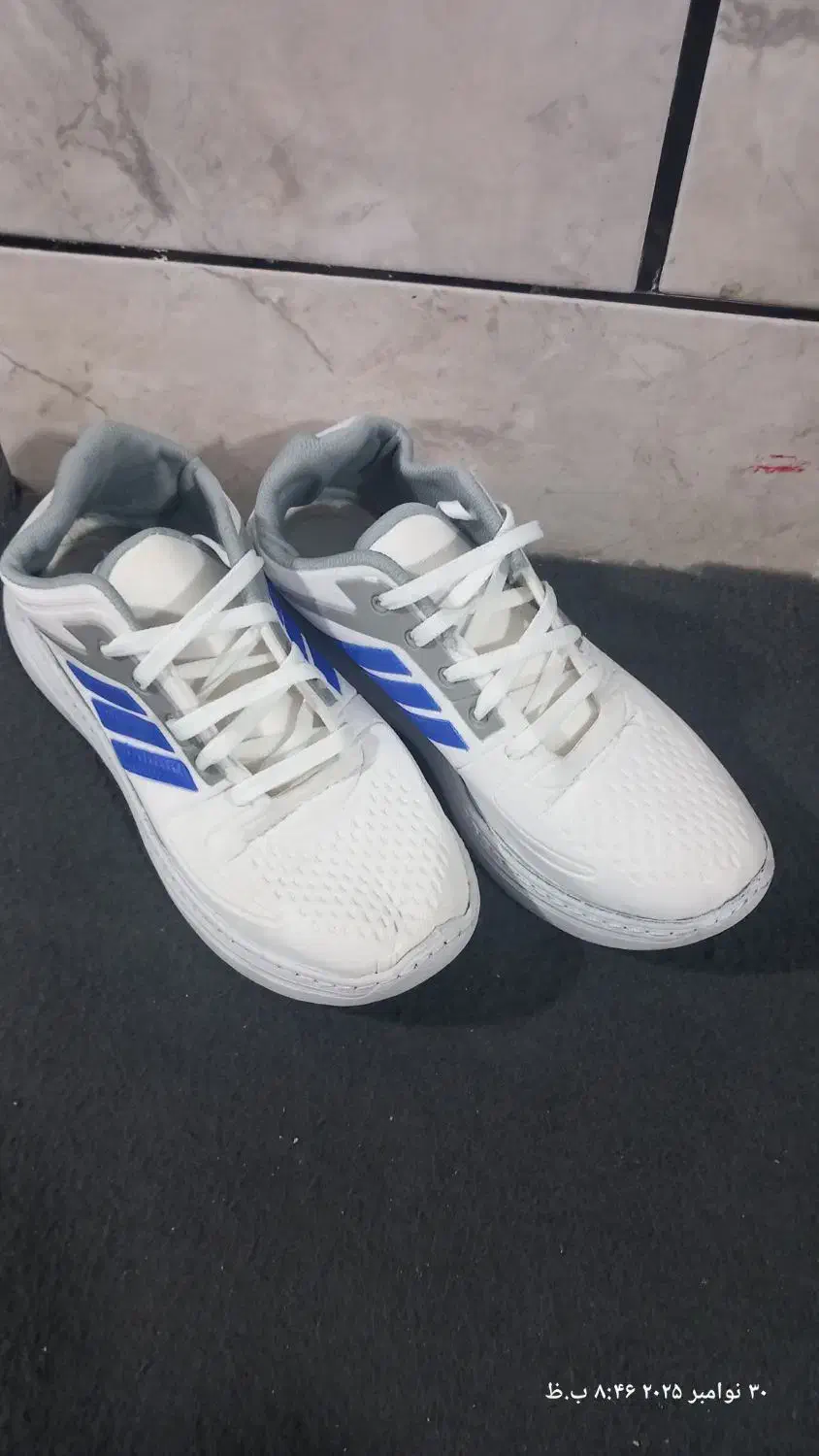 کفش|کیف، کفش، کمربند|شیراز, پودنک|دیوار