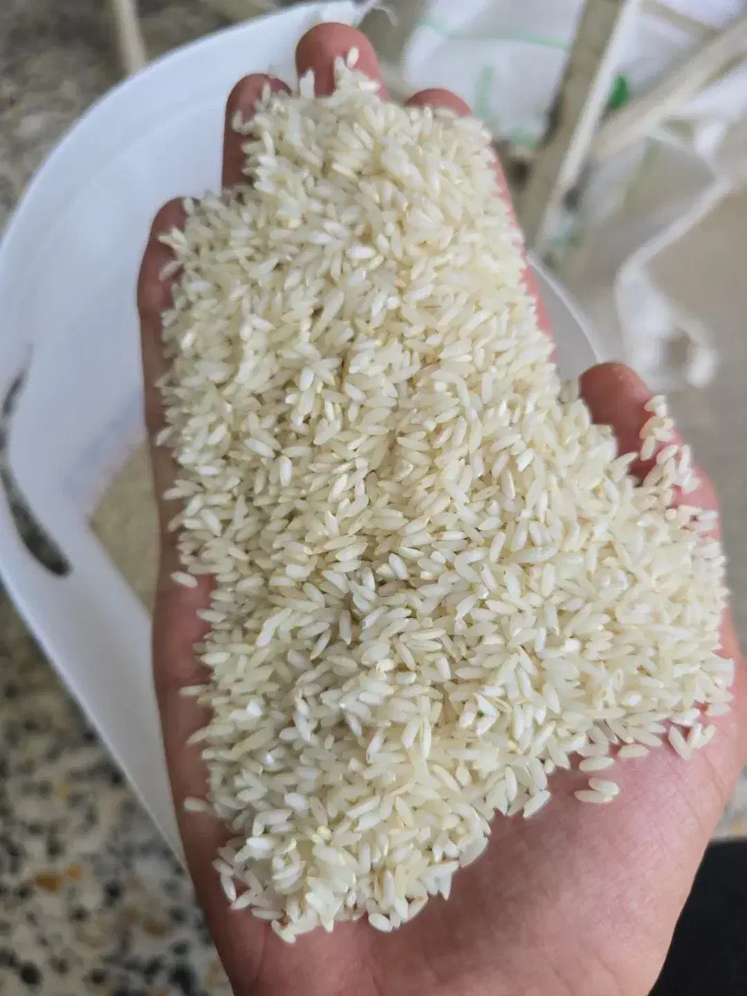 برنج عنبر درجه یک|خوردنی و آشامیدنی|شیراز, گود خزینه|دیوار