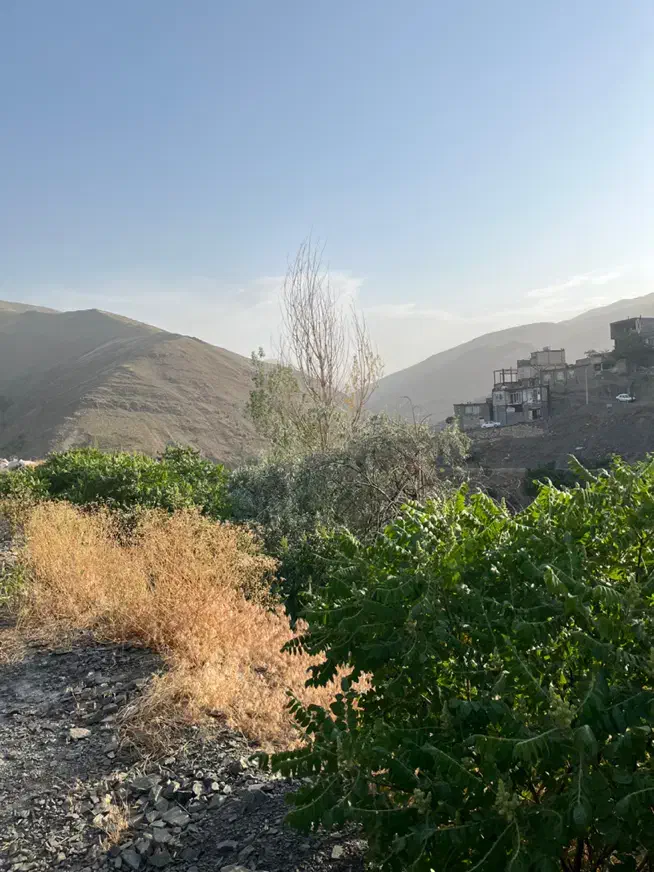 زمین فروشی در روستای خوش آب و هوای زشک|فروش زمین و ملک کلنگی|شاندیز, |دیوار