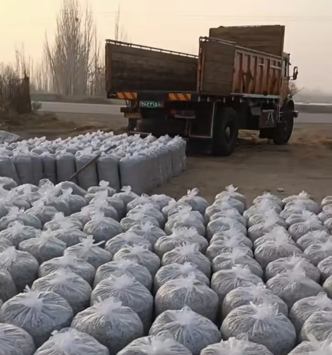 تفاله چغندر|حیوانات مزرعه|فرخ‌شهر, |دیوار