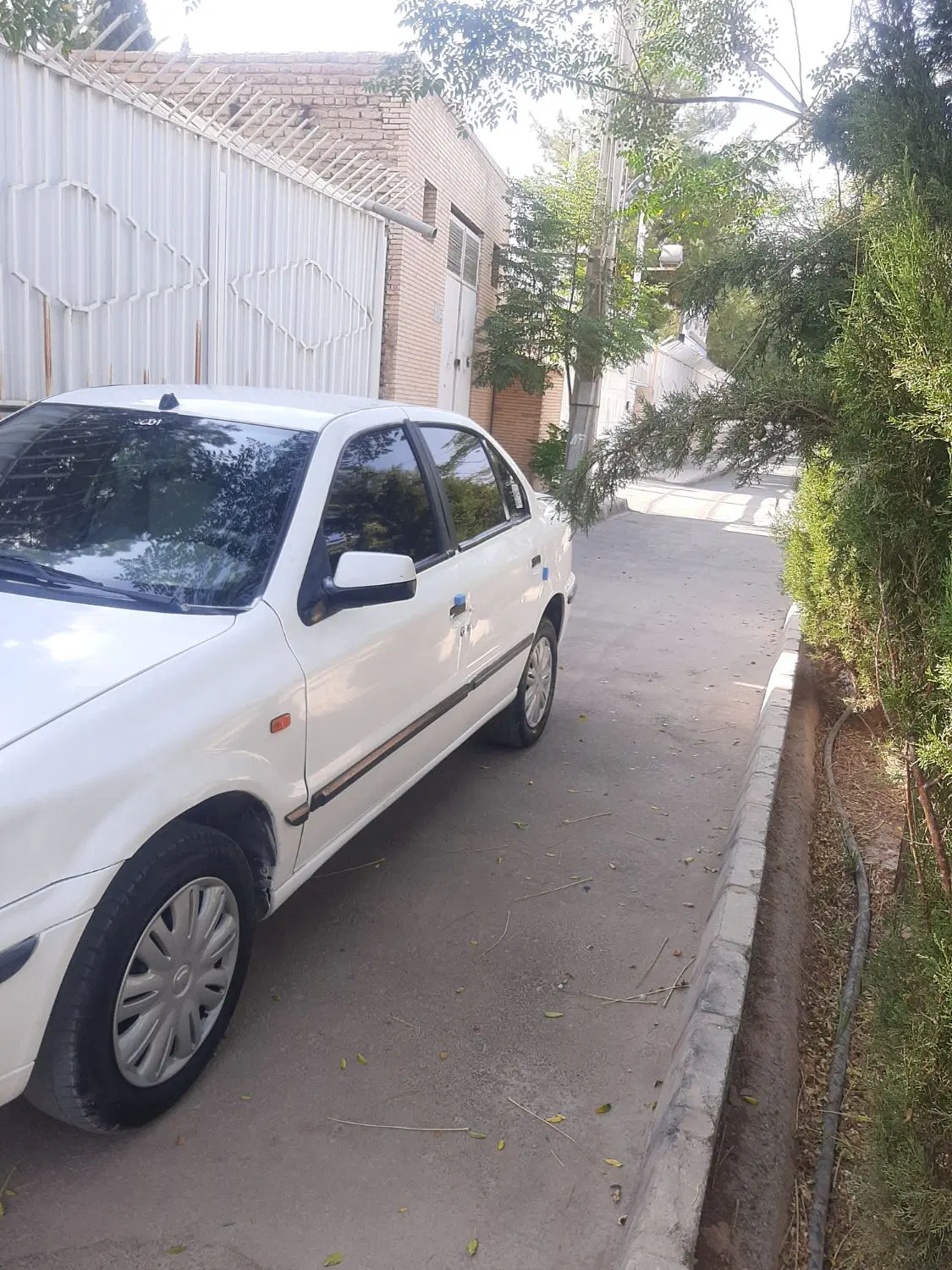 سمند|خودرو سواری و وانت|کرمان, |دیوار