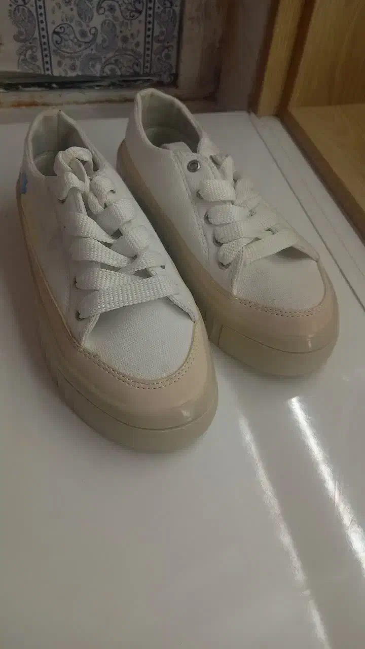 کفش وکیف|کیف، کفش، کمربند|یاسوج, |دیوار