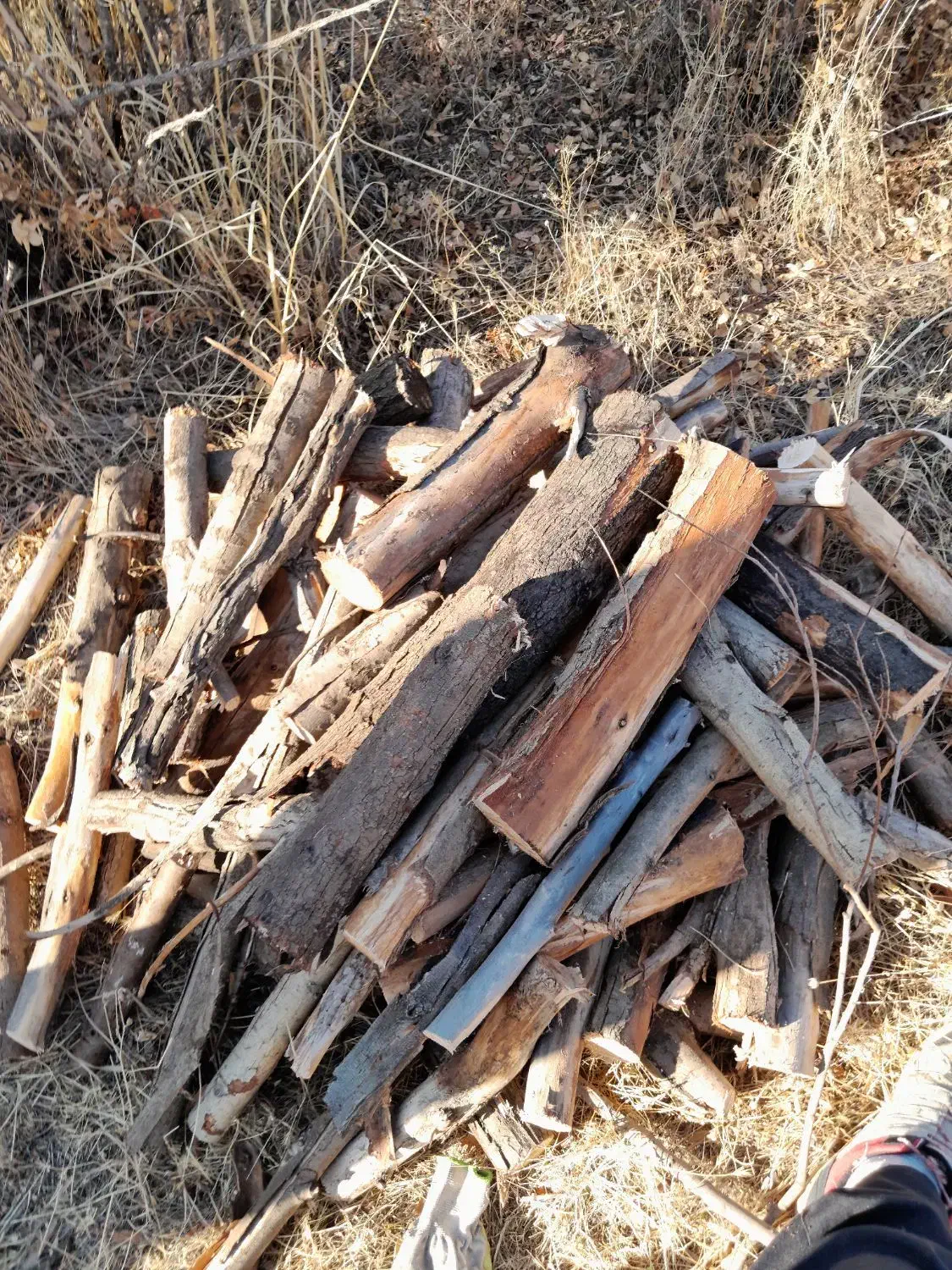 چوب خشک|عمدهفروشی|سقز, |دیوار