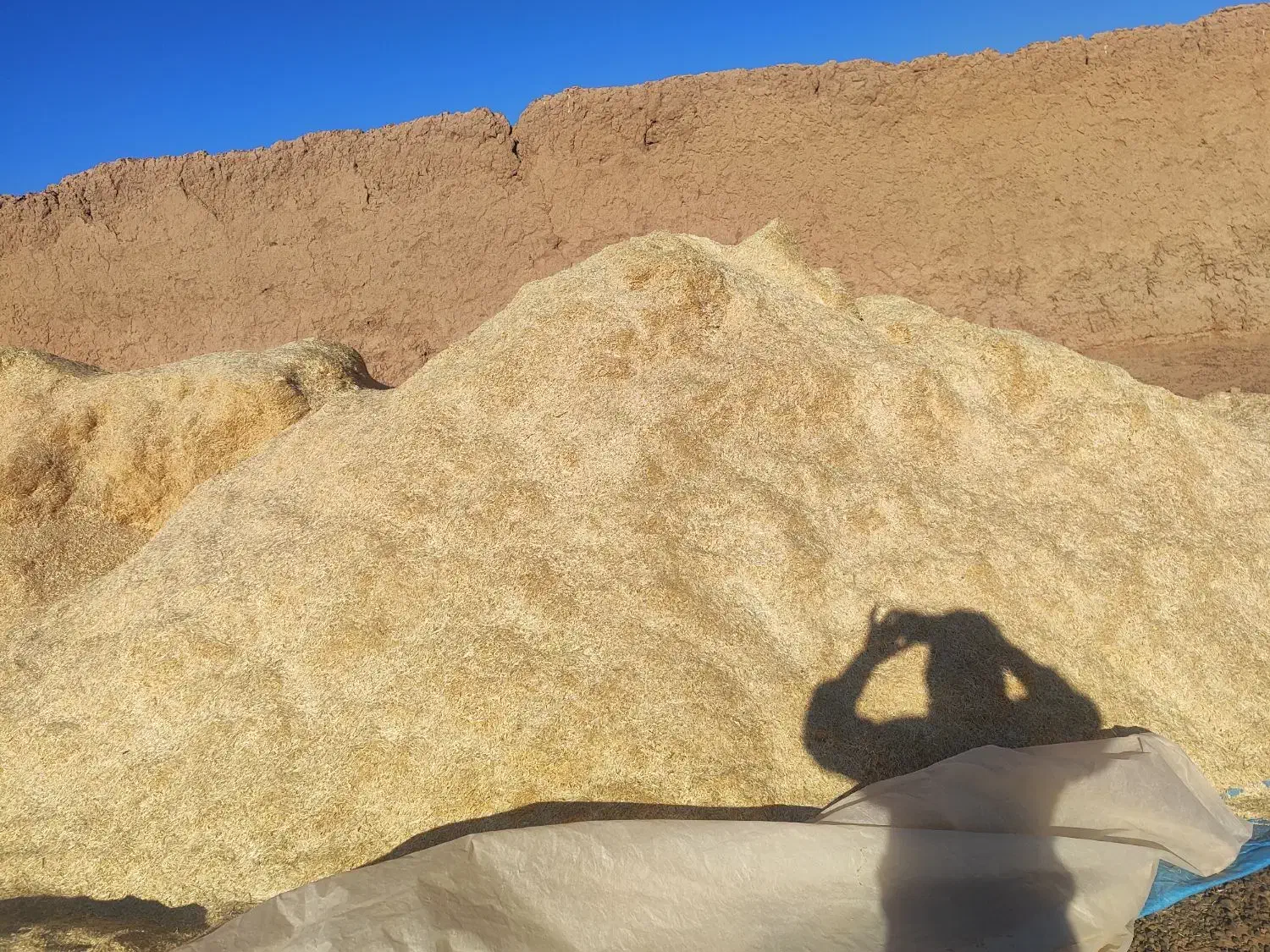 کاه گندم|لوازم جانبی حیوانات|پائین جام, |دیوار