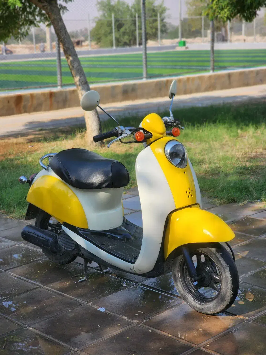 اسکوپی و موتور مزایده|موتورسیکلت|خورموج, |دیوار