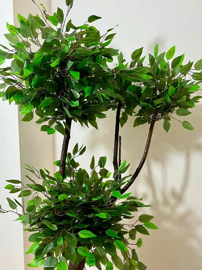 ساخت انواع درختچه مصنوعی|گل مصنوعی|گرگان, |دیوار