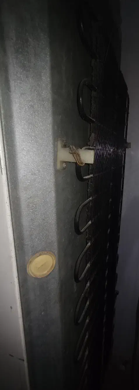 یخچال فریزر دوو سالم|یخچال و فریزر|بندرعباس, |دیوار