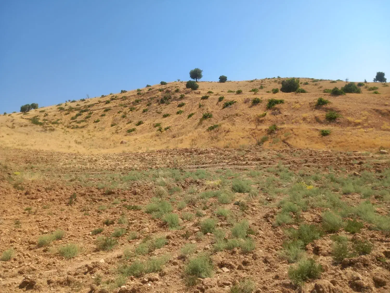 فروش زمین ۴۱۵۳ متری|فروش زمین و ملک کلنگی|سپیدان, |دیوار