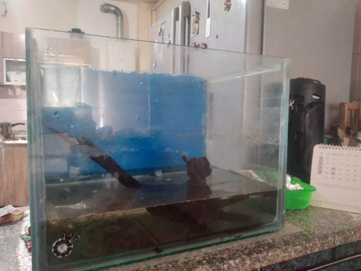 چوب آبنوس|ماهی|مشکیندشت, |دیوار