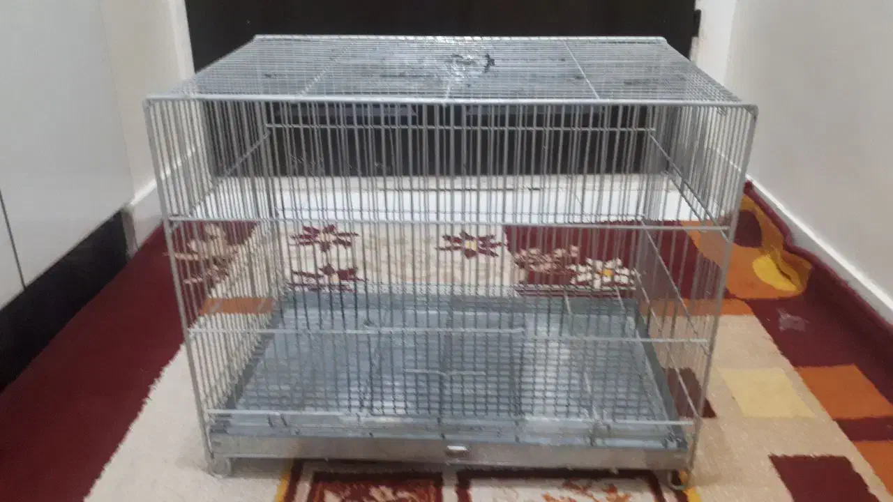 قفس پرنده محکم|لوازم جانبی حیوانات|سهند, |دیوار