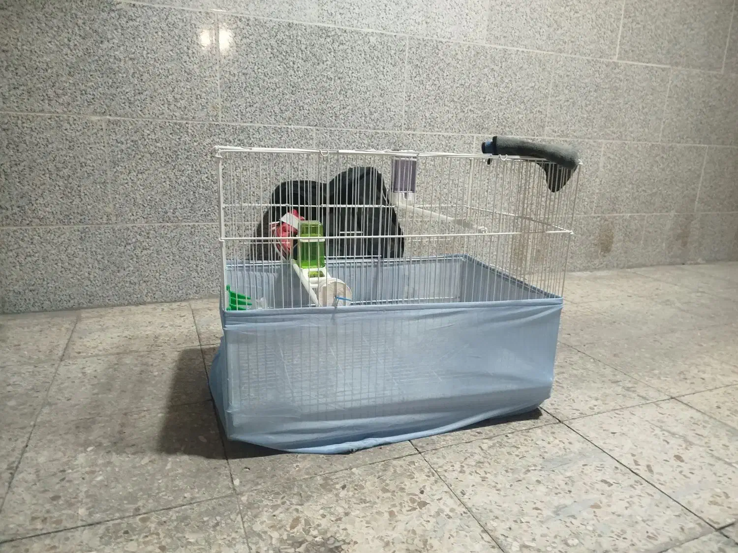 قفس بزرگ با سینی پلاستیکی|لوازم جانبی حیوانات|بندر ماهشهر, |دیوار