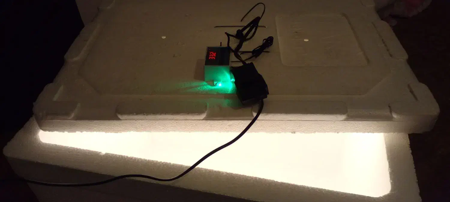 دستگاه جوجه کشی|حیوانات مزرعه|چرداول, |دیوار