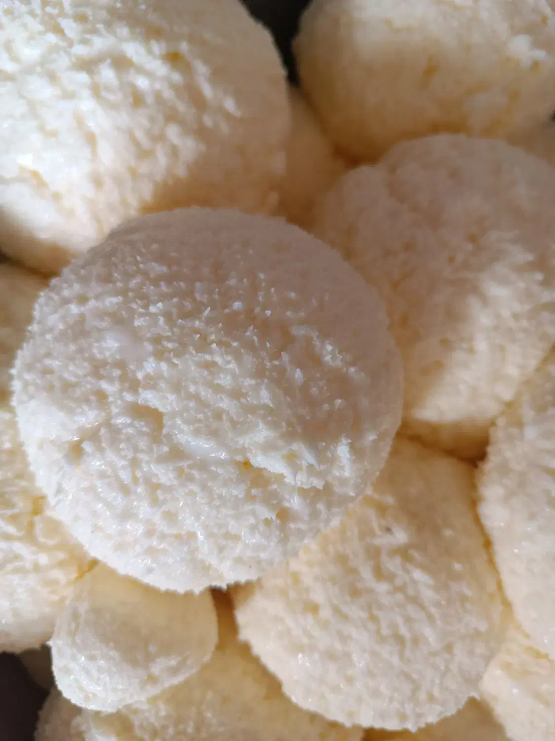 برای اولین بار در بم|حراج|بم, |دیوار