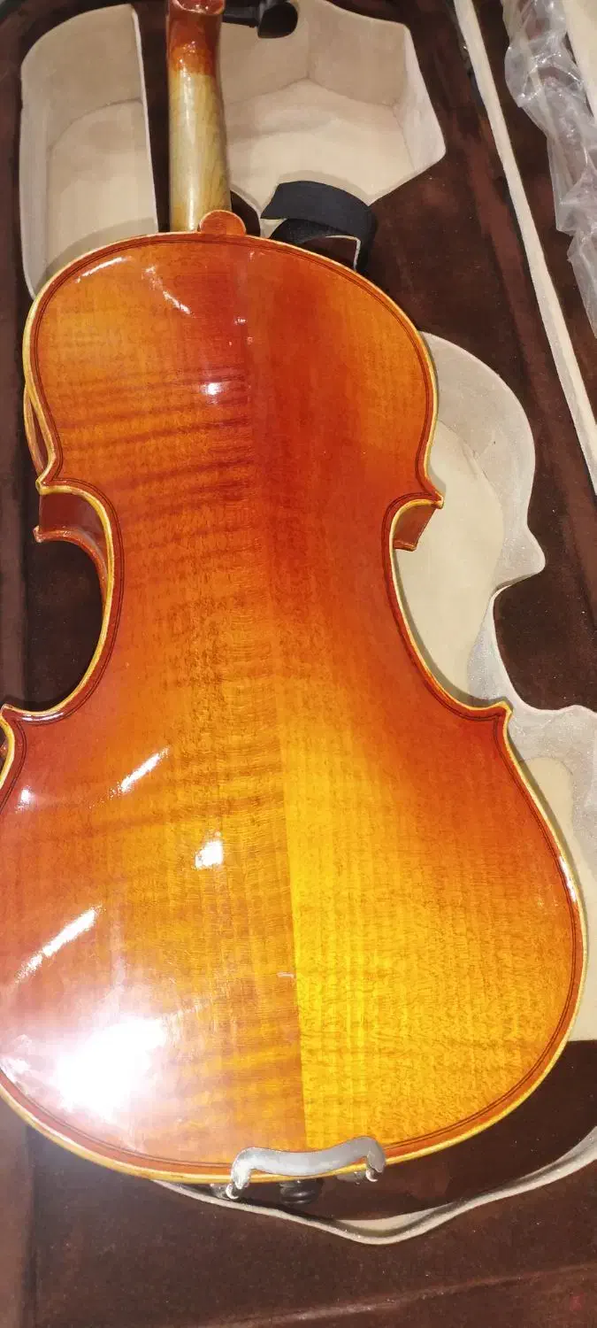 ویولن رناتو۲۲۰|ویولن|شیراز, شهرک قمشه|دیوار