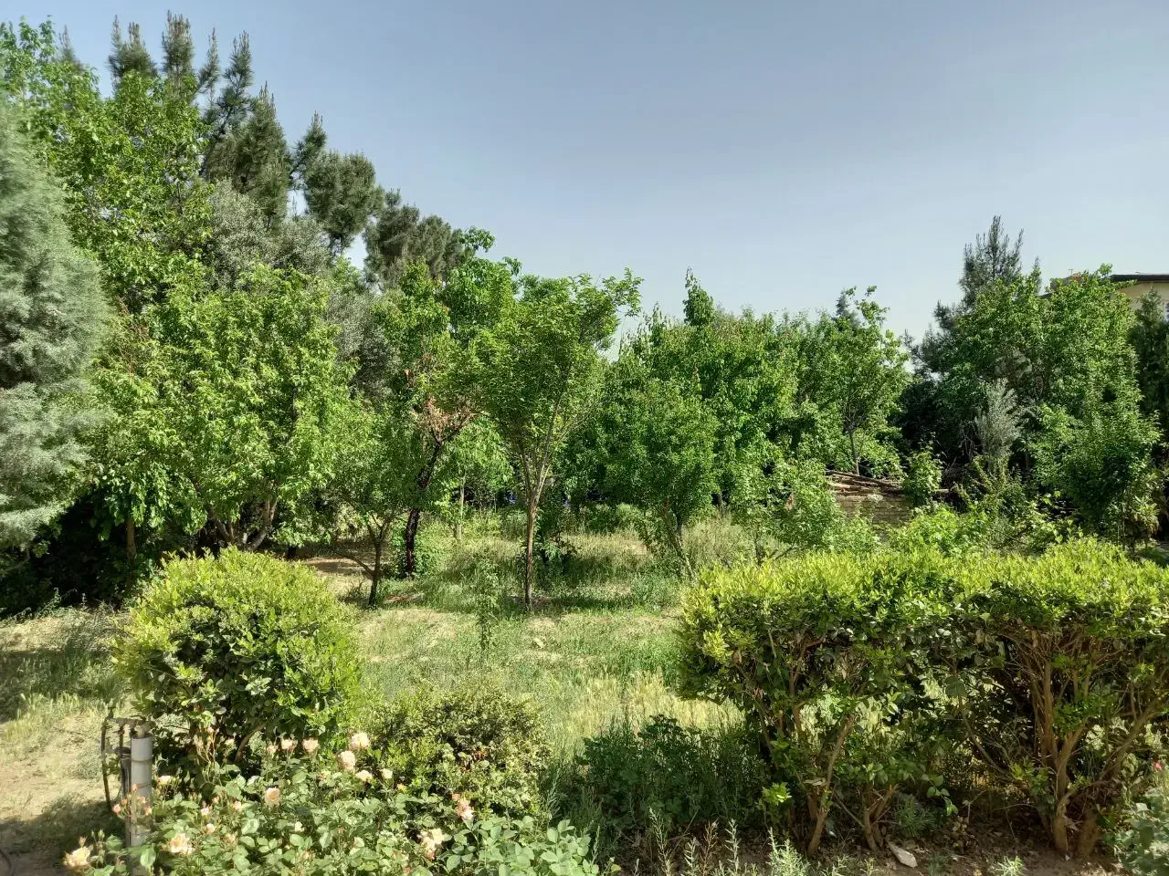 باغ ویلا ۱۲۰۰ متری سه خواب شهرک خانه تهران|فروش خانه و ویلا|رباطکریم, پرندک|دیوار