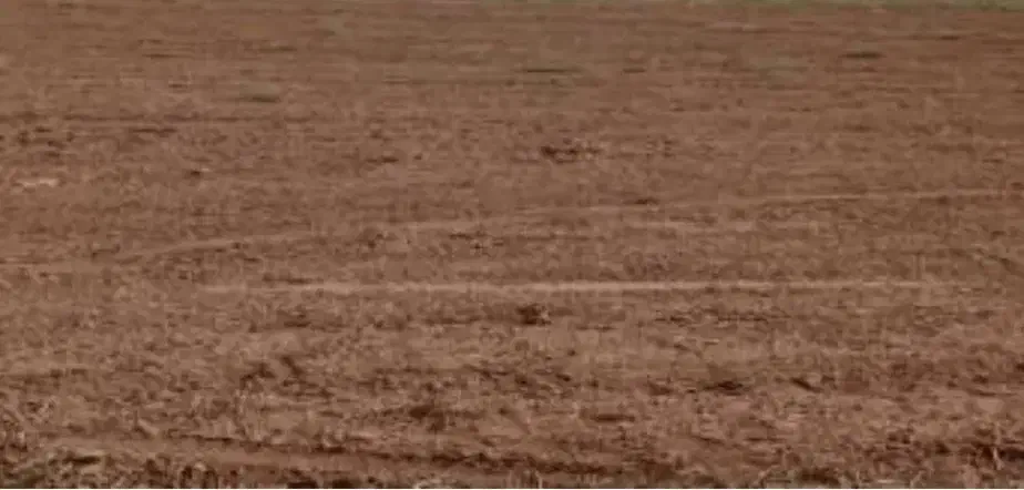 زمین ۲۰۰ متری در اسدآباد|فروش زمین و ملک کلنگی|اسدآباد, |دیوار