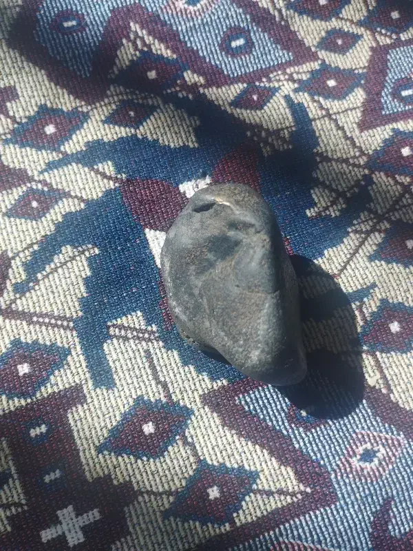 سنگ|جواهرات|سرخس, |دیوار