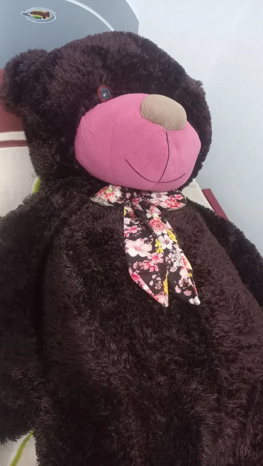 خرس ولنتاین|اسباب‌‌بازی|اردبیل, |دیوار