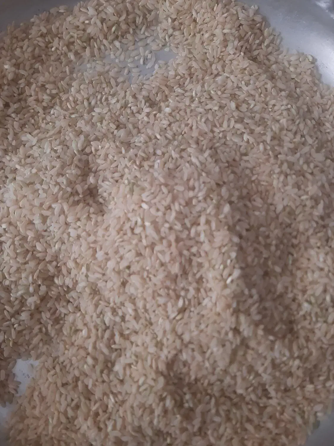 برنج چمپا کیلو ۲۶۰|خوردنی و آشامیدنی|یاسوج, |دیوار