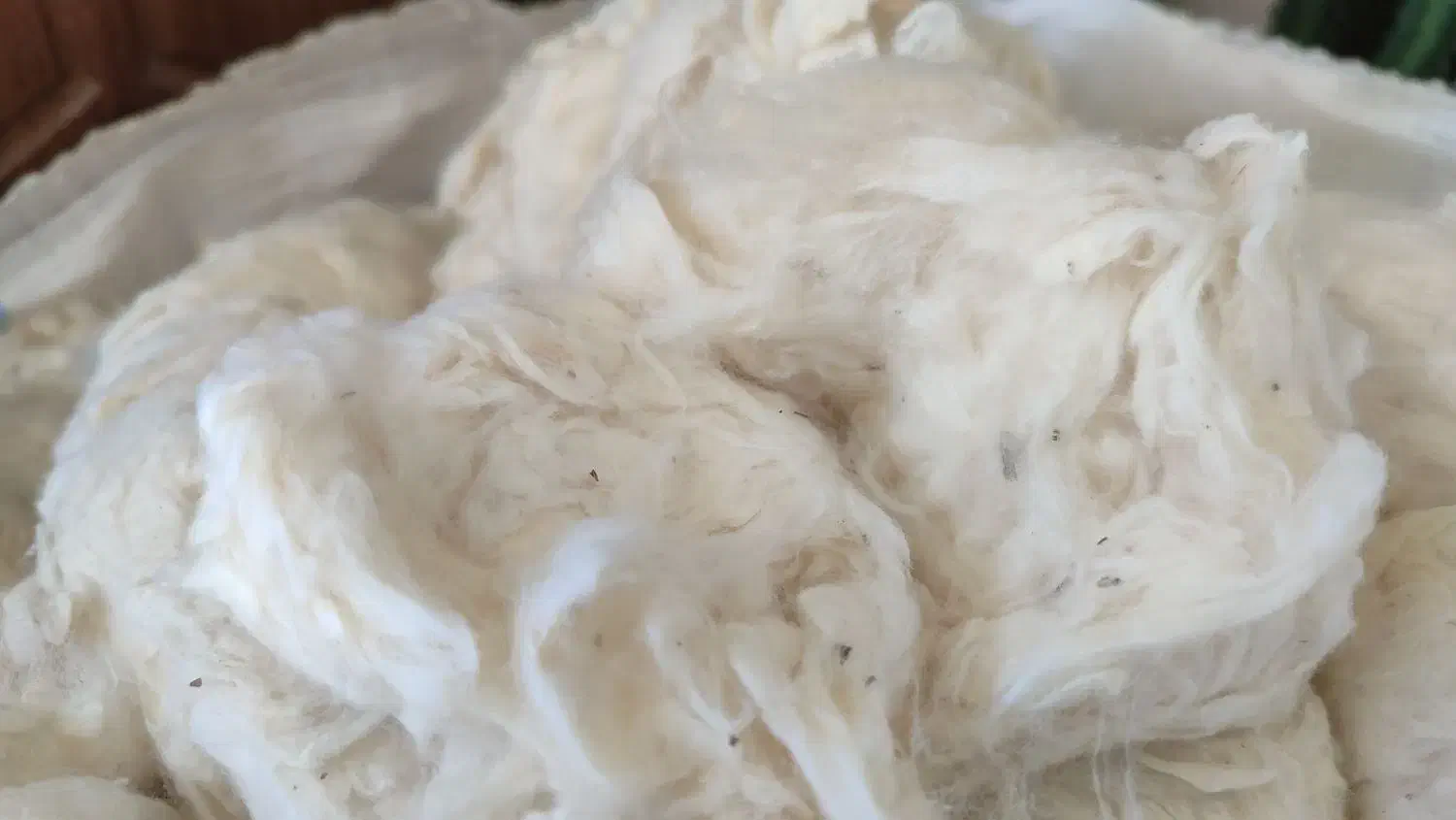 پنبه|رختخواب، بالش، پتو|جویبار, |دیوار